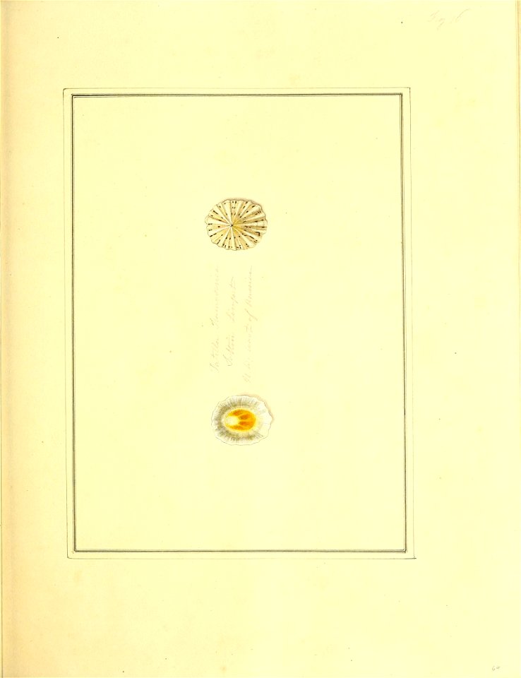 n164_w1150
