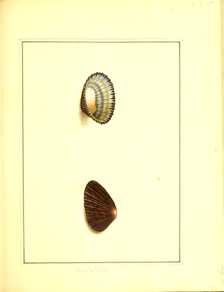 n160_w1150