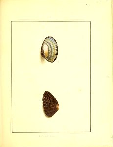 n160_w1150