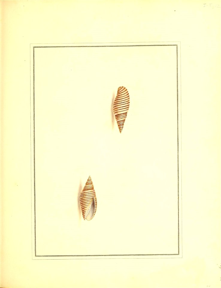 n120_w1150