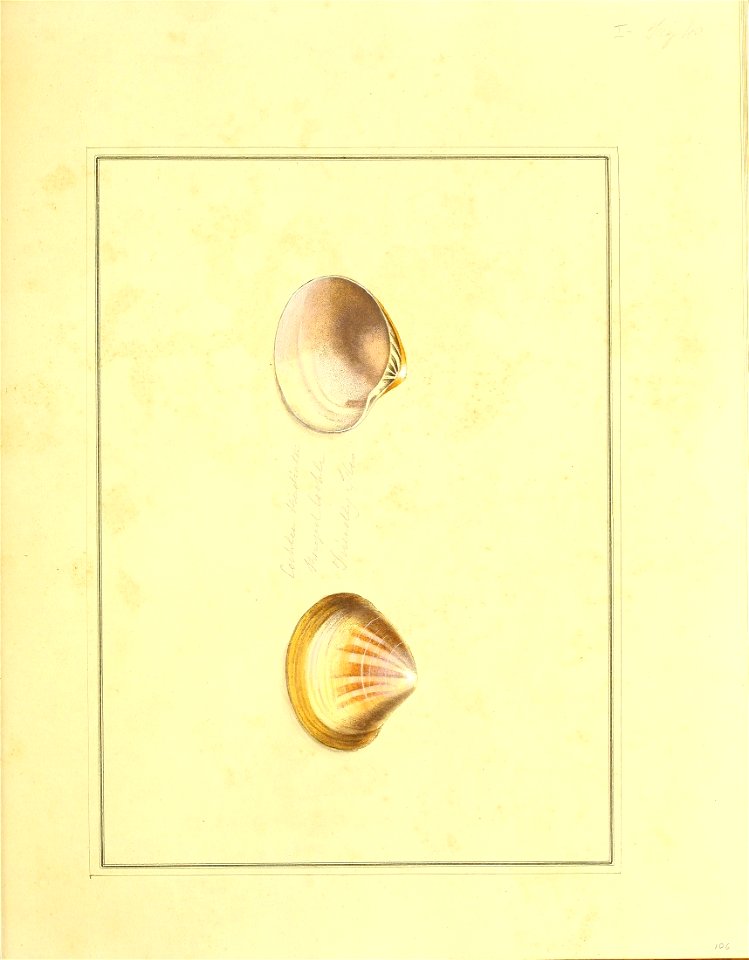 n290_w1150