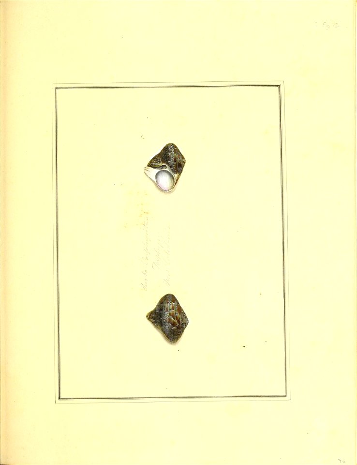 n196_w1150