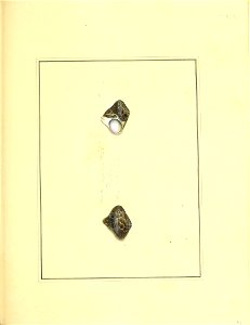 n196_w1150