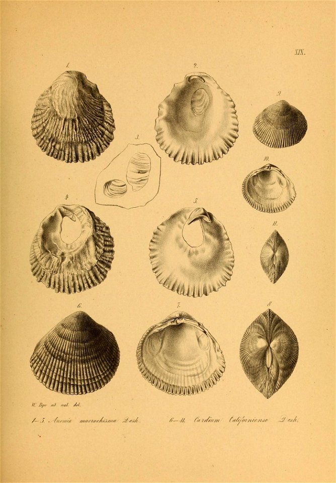 n574_w1150