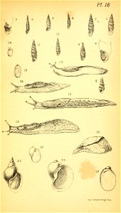 n324_w1150