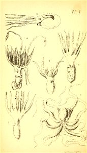 n279_w1150