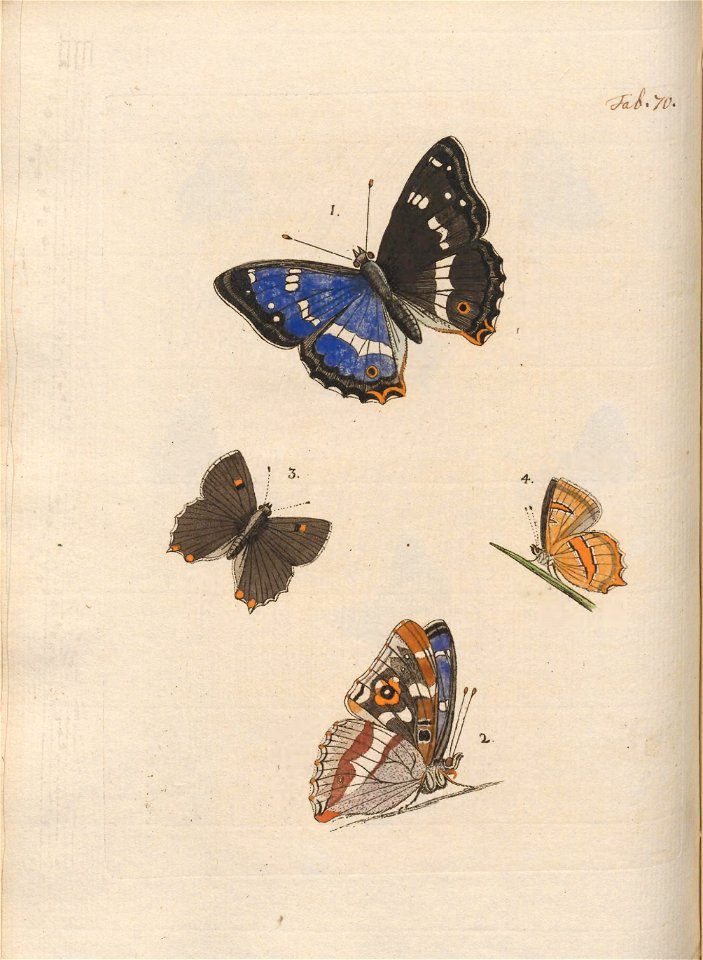 n369_w1150
