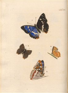 n369_w1150