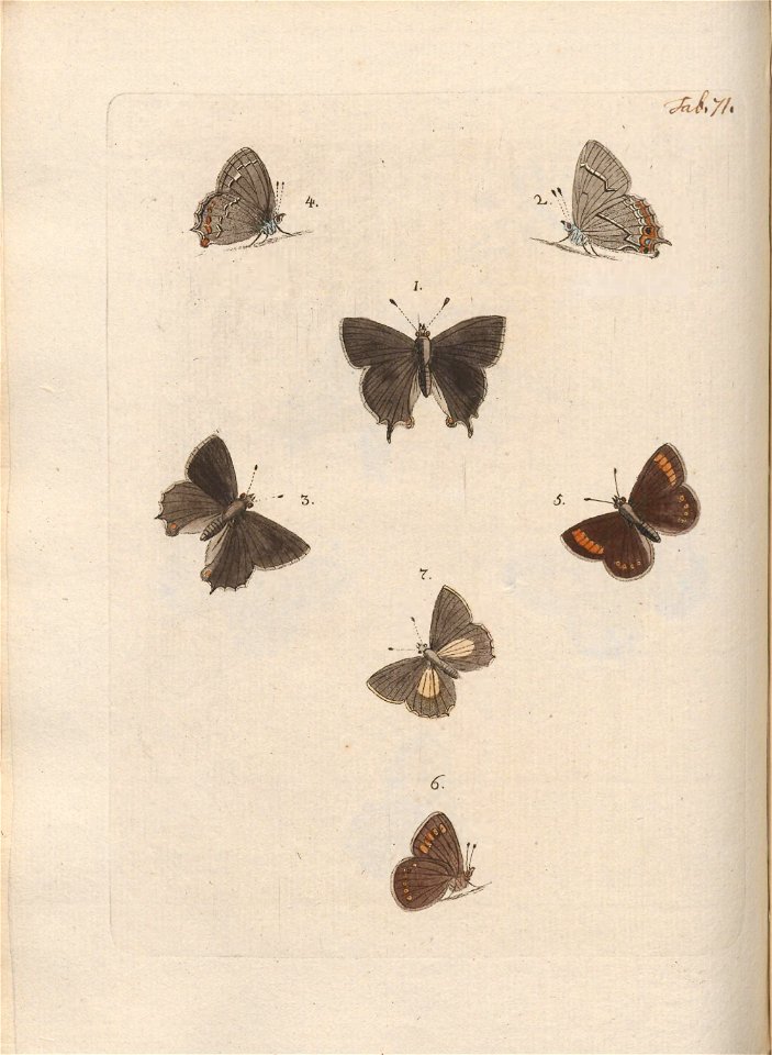n367_w1150