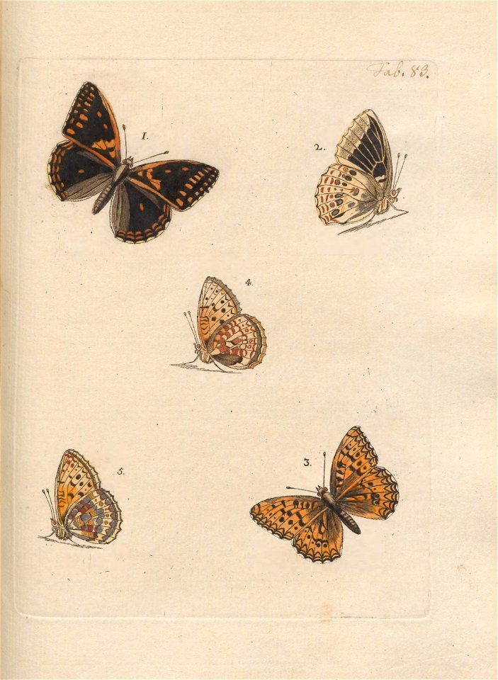 n422_w1150
