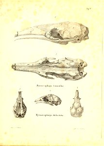 n134_w1150
