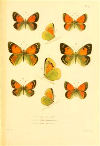 n622_w1150