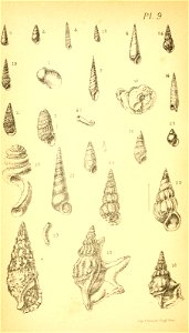 n303_w1150