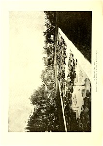 n415_w1150