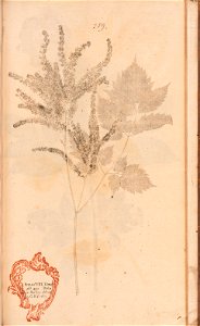n602_w1150