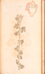 n572_w1150