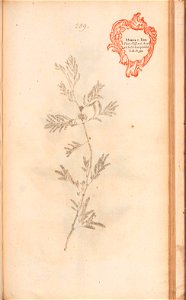 n542_w1150
