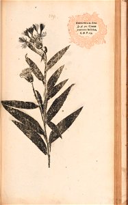 n482_w1150