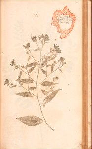 n452_w1150