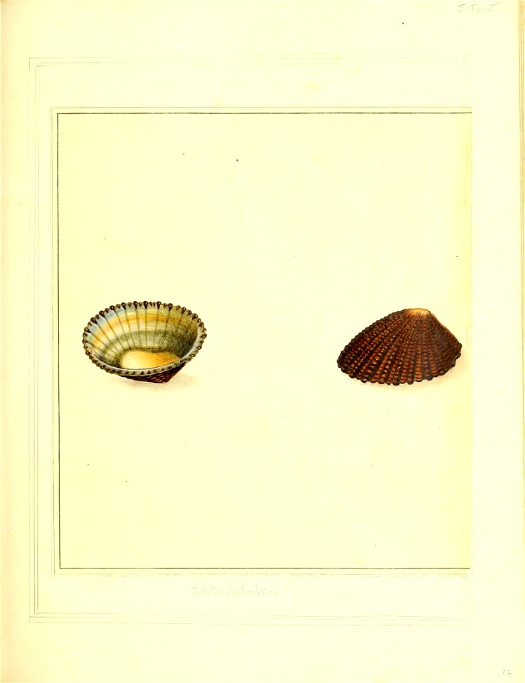 n158_w1150