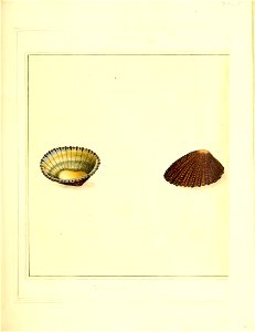 n158_w1150