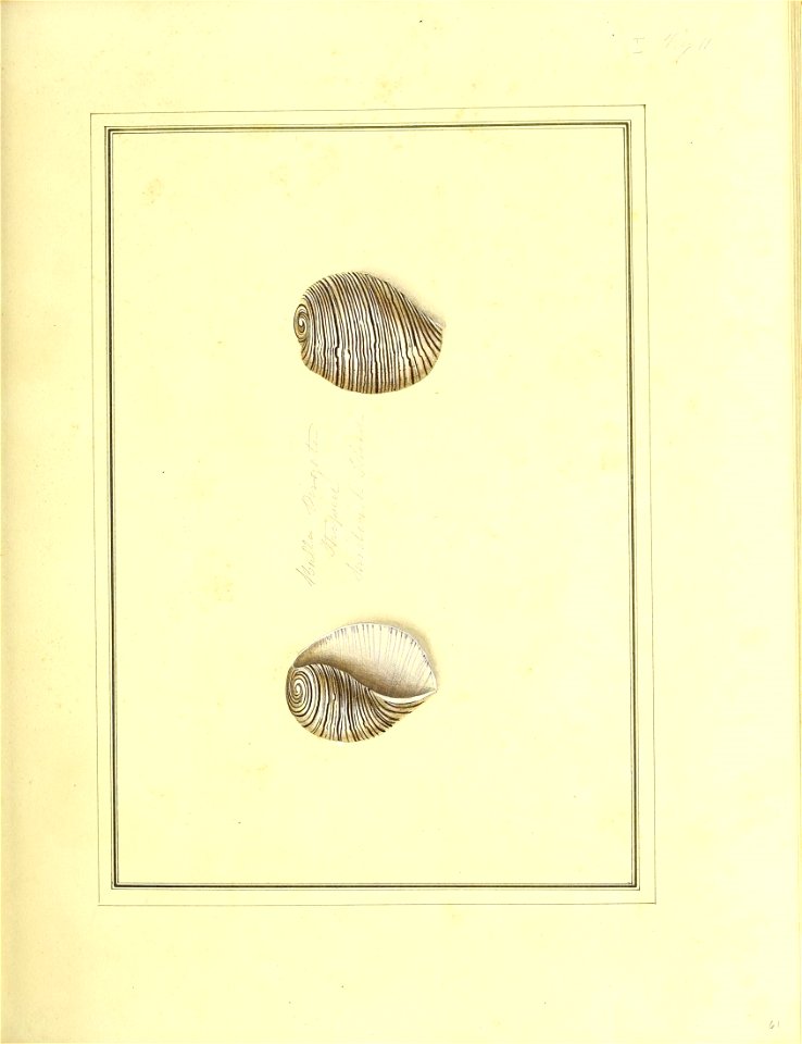 n156_w1150