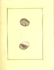 n156_w1150
