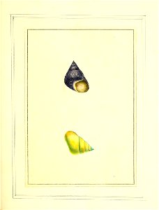 n66_w1150