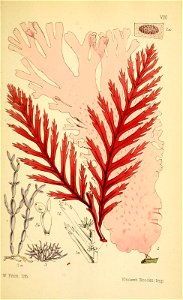 n374_w1150