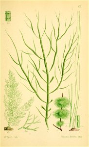 n402_w1150