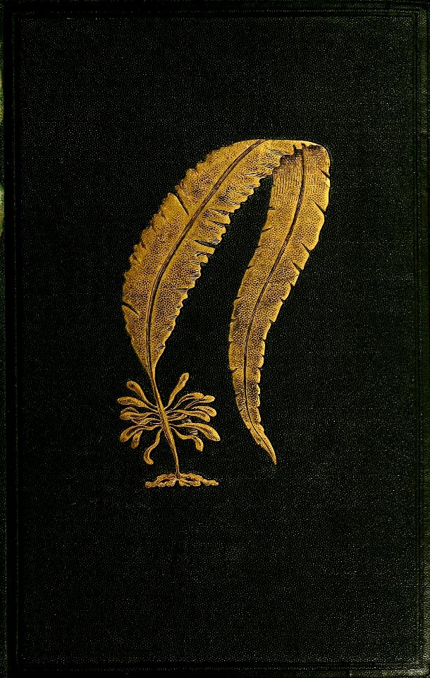 n0_w1150