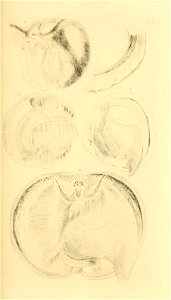 n144_w1150