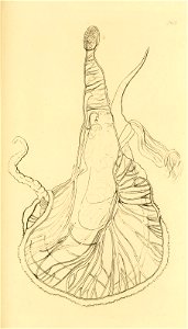 n174_w1150