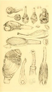 n114_w1150