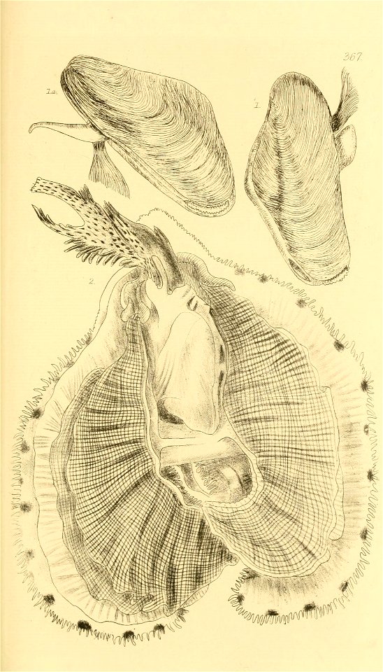 n172_w1150