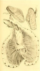 n172_w1150