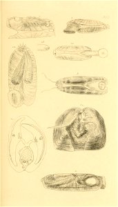 n142_w1150