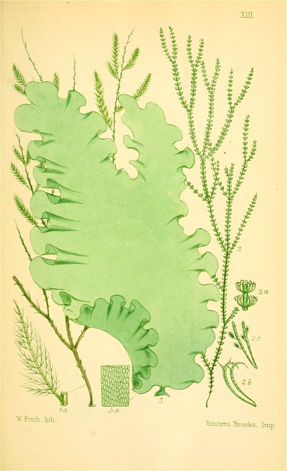 n394_w1150