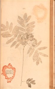 n394_w1150