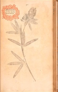 n214_w1150