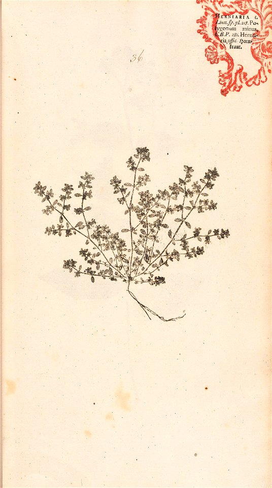 n94_w1150