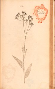 n392_w1150