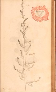 n242_w1150