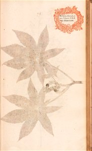 n182_w1150