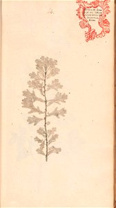 n152_w1150