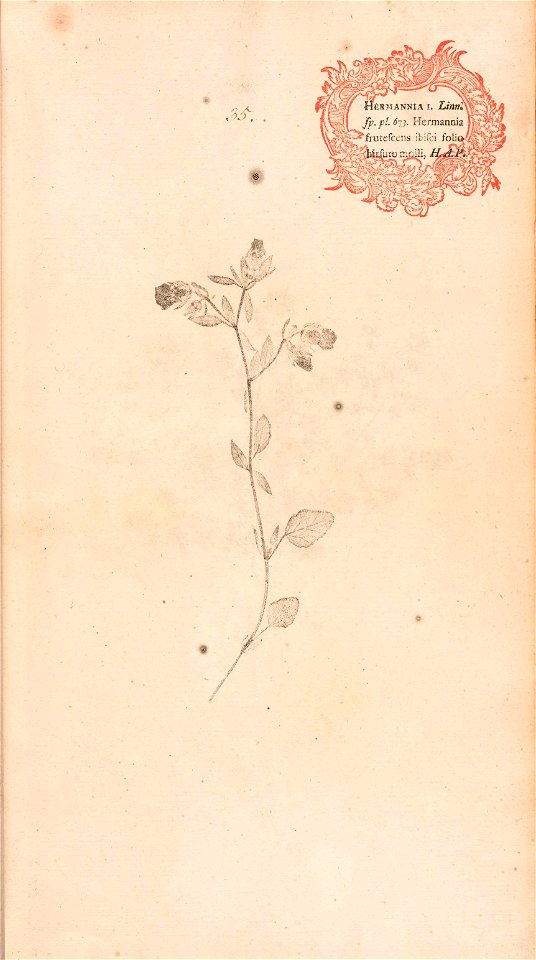 n92_w1150