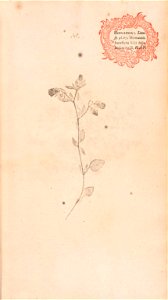 n92_w1150