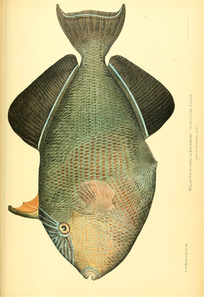 n866_w1150