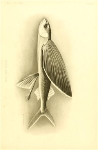 n216_w1150