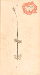 n120_w1150